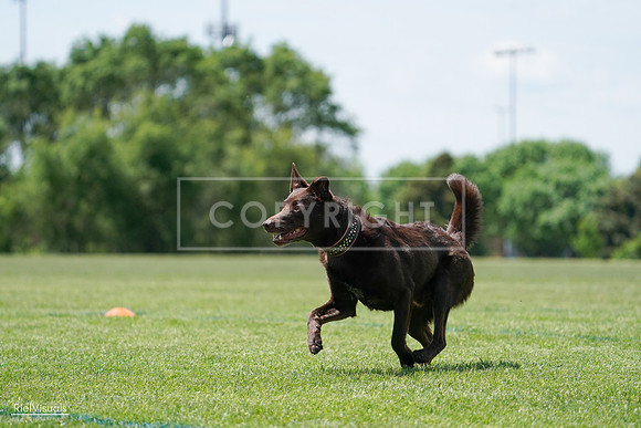RielVisuals_20240525_120801_SJR08739