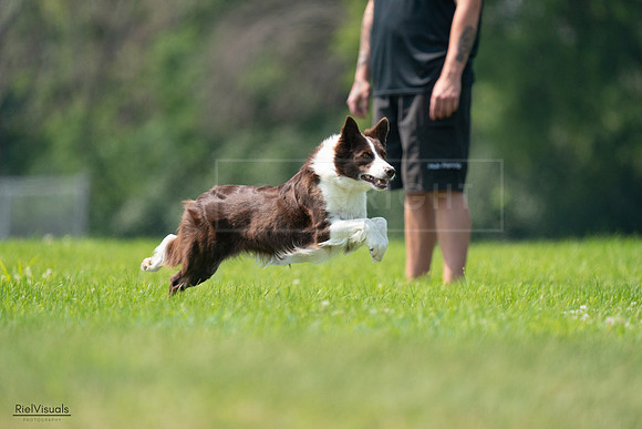 RielVisuals_20240727_115631_SJR04368