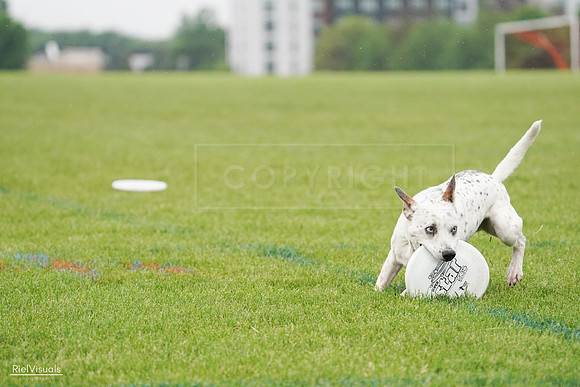 RielVisuals_20240527_105812_SJR02389