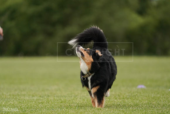 RielVisuals_20240526_135231_SJR09365