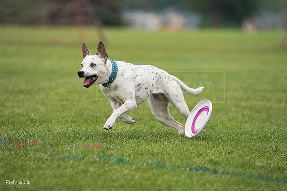 RielVisuals_20240527_092856_SJR07470