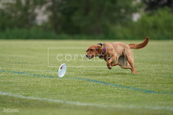 RielVisuals_20240525_160916_SJR03587