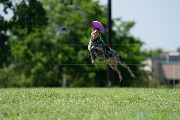 RielVisuals_20240728_145227_SJR09444