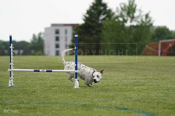 RielVisuals_20240526_090827_SJR09191