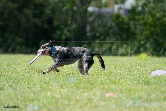 RielVisuals_20240728_145228_SJR09461