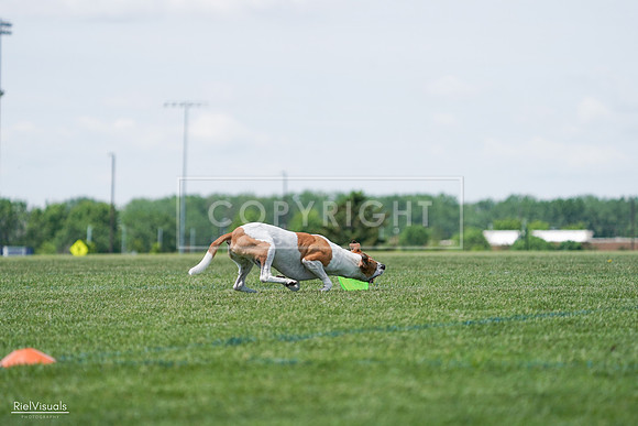 RielVisuals_20240525_121739_SJR09314