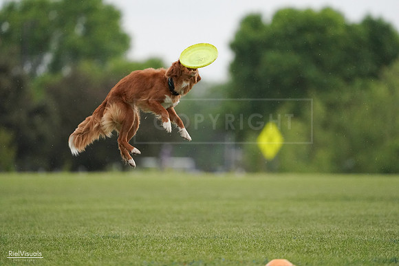 RielVisuals_20240526_093131_SJR00284