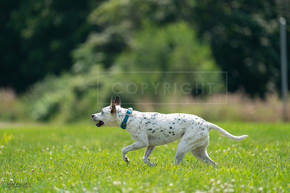 RielVisuals_20240728_140018_SJR07759