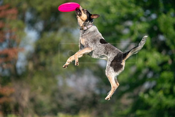 RielVisuals_20240727_093848_SJR07039