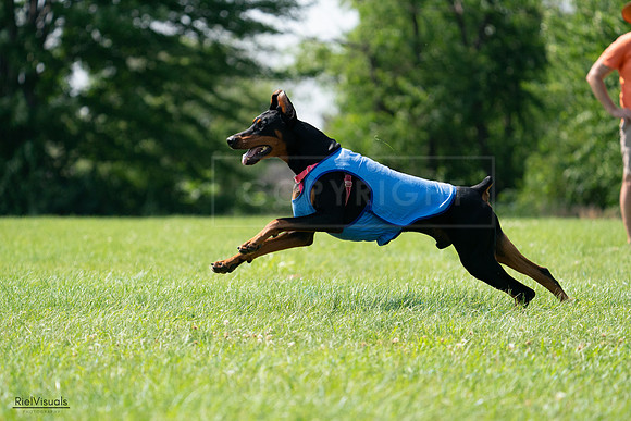 RielVisuals_20240728_151306_SJR00315