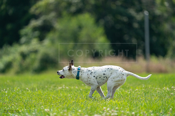 RielVisuals_20240728_140018_SJR07758