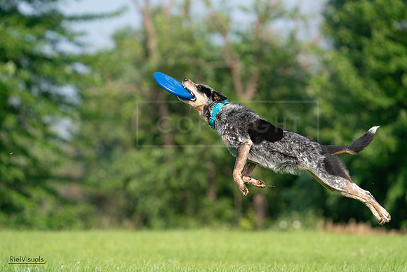 RielVisuals_20240727_094814_SJR07568