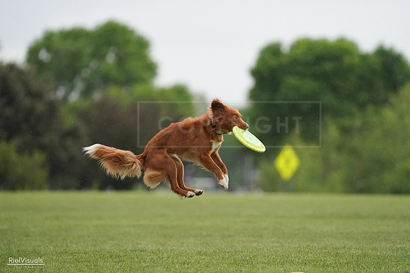 RielVisuals_20240526_093152_SJR00313