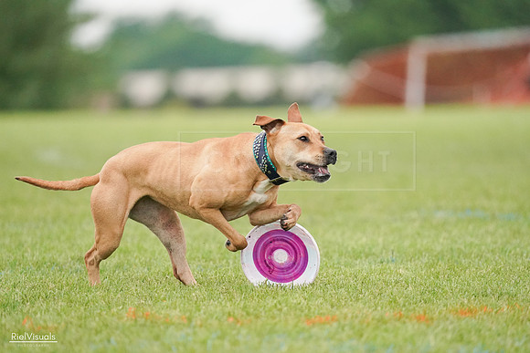 RielVisuals_20240527_111247_SJR03518