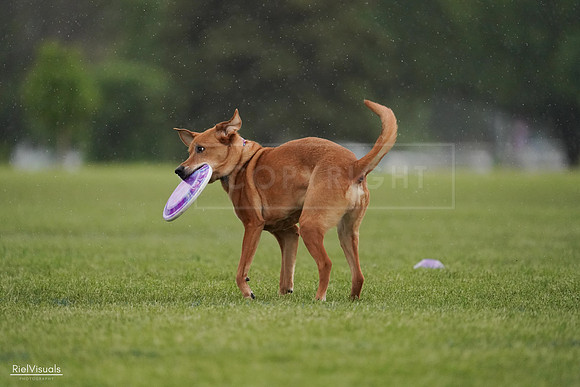 RielVisuals_20240526_093624_SJR00501