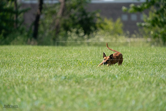 RielVisuals_20240728_150142_SJR09808