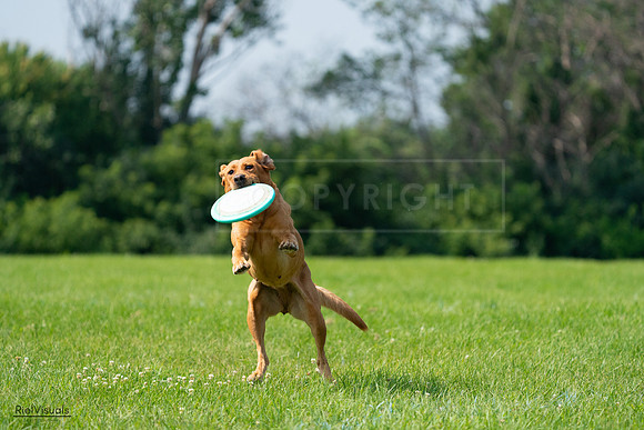 RielVisuals_20240728_104026_SJR08850