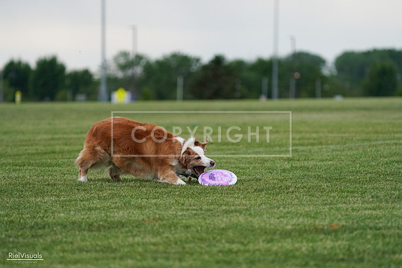 RielVisuals_20240525_170827_SJR06246
