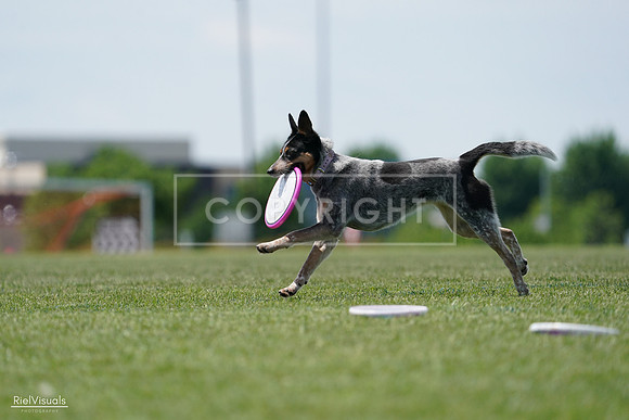 RielVisuals_20240525_122251_SJR09660