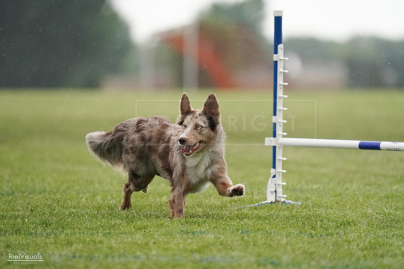 RielVisuals_20240526_092547_SJR09988