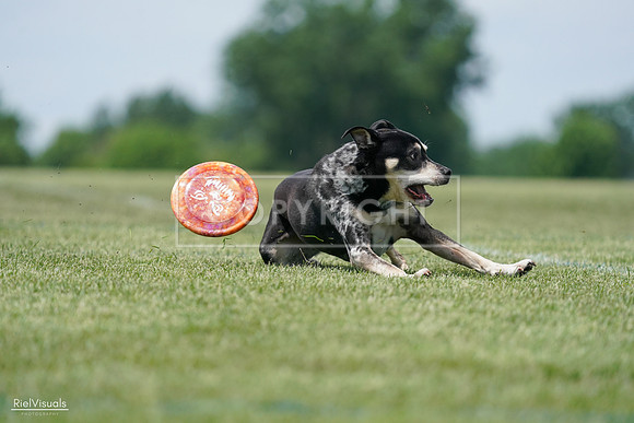 RielVisuals_20240525_123144_SJR00226