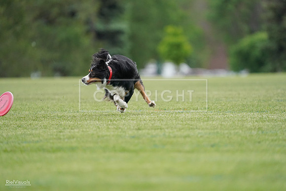 RielVisuals_20240525_164609_SJR05403