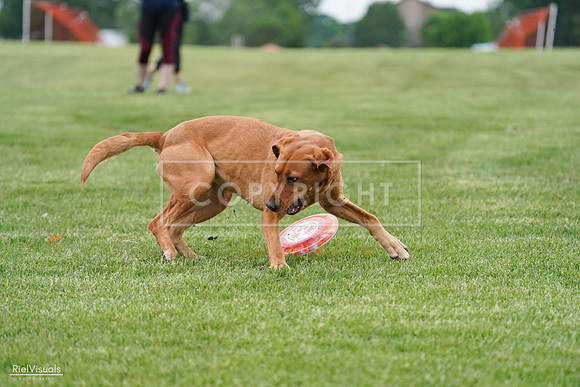 RielVisuals_20240525_165902_SJR05767