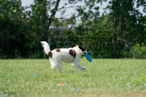 RielVisuals_20240728_145417_SJR09513