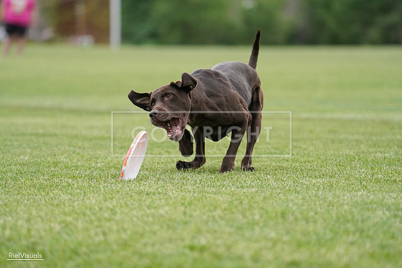 RielVisuals_20240525_162830_SJR04563