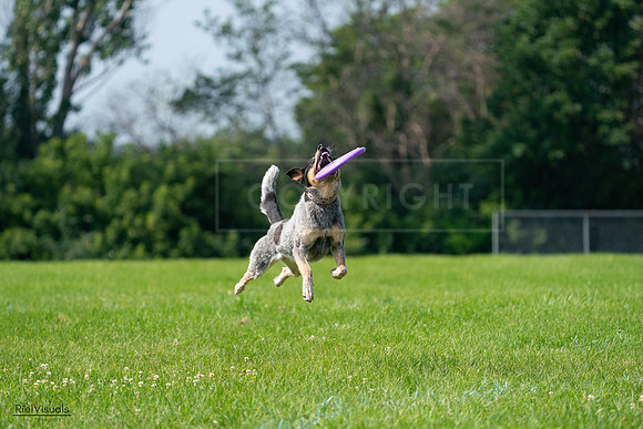 RielVisuals_20240728_103238_SJR08434