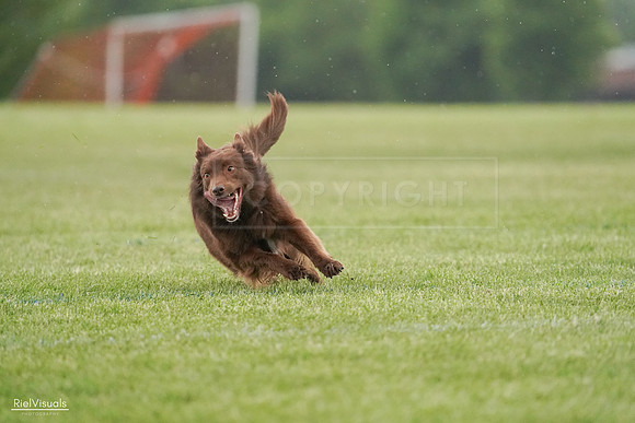 RielVisuals_20240526_094202_SJR00815