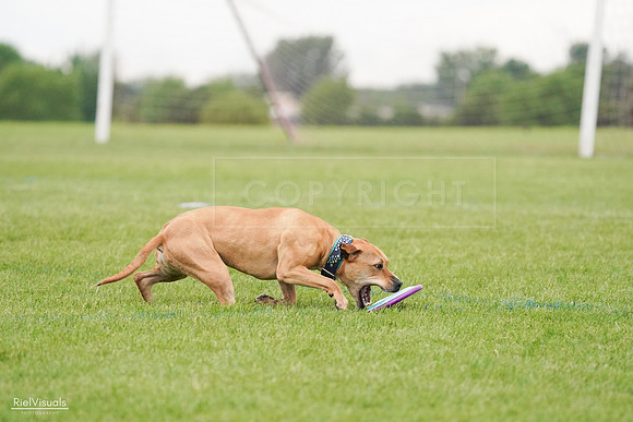 RielVisuals_20240527_111232_SJR03474