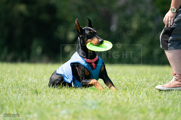 RielVisuals_20240728_151355_SJR00366