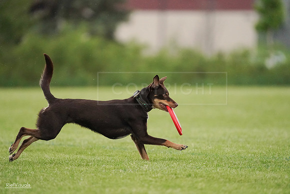 RielVisuals_20240526_095646_SJR01444