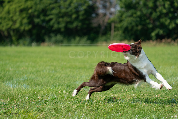 RielVisuals_20240728_101134_SJR07436