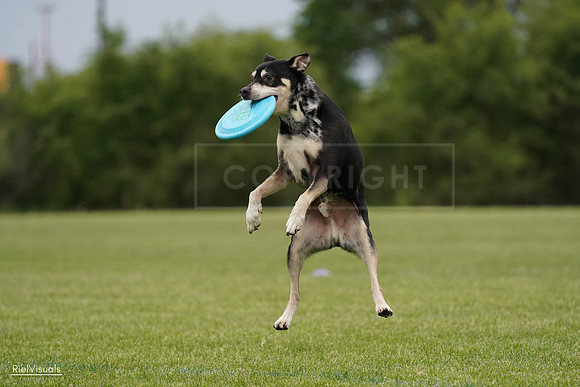 RielVisuals_20240526_134431_SJR08904