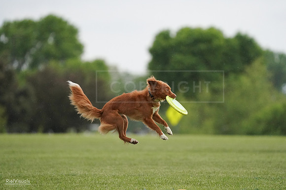RielVisuals_20240526_093152_SJR00314