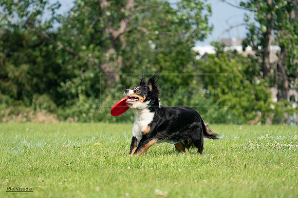 RielVisuals_20240728_101802_SJR07705