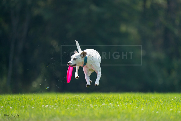 RielVisuals_20240727_120958_SJR04890