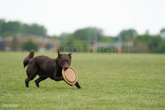 RielVisuals_20240526_091041_SJR09358