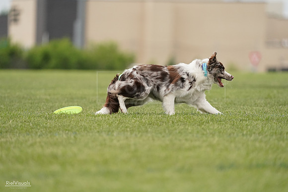 RielVisuals_20240526_132941_SJR07965