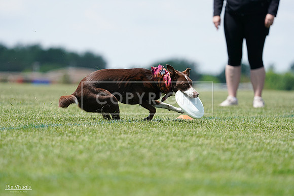 RielVisuals_20240525_121924_SJR09456