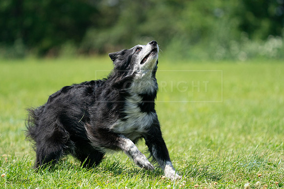 RielVisuals_20240728_122234_SJR03753