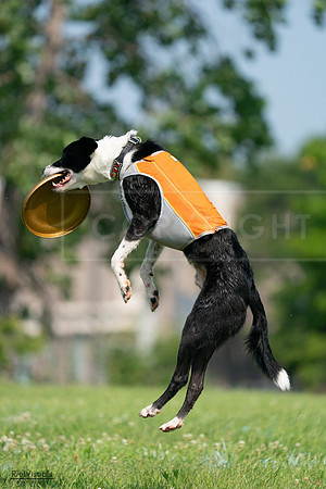 RielVisuals_20240728_101512_SJR07522