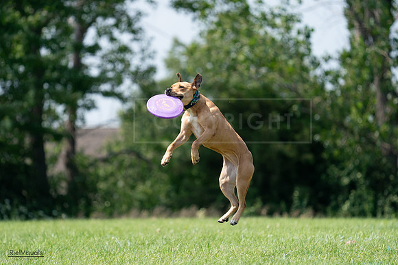 RielVisuals_20240728_142717_SJR08306