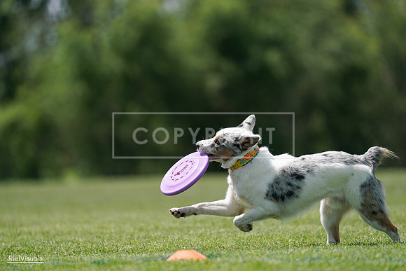 RielVisuals_20240525_121545_SJR09251