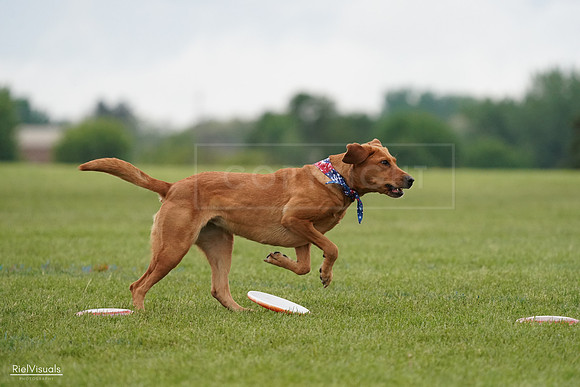 RielVisuals_20240527_113515_SJR03947