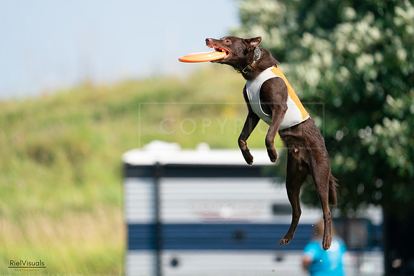 RielVisuals_20240728_095854_SJR06856