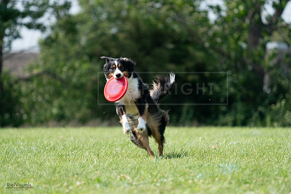 RielVisuals_20240728_144515_SJR09047