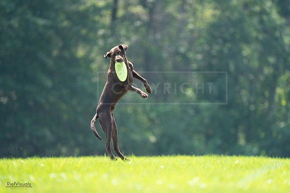 RielVisuals_20240727_123343_SJR05864